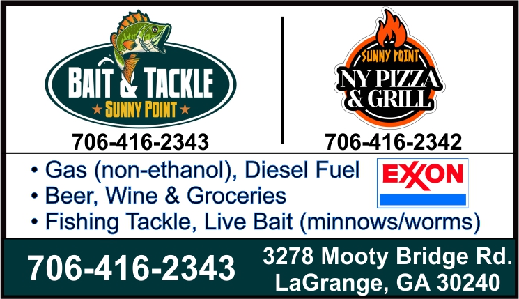 Sunny Point NY Pizza & Grill | 3278 Mooty Bridge Rd, LaGrange, GA 30240, USA | Phone: (706) 416-2342