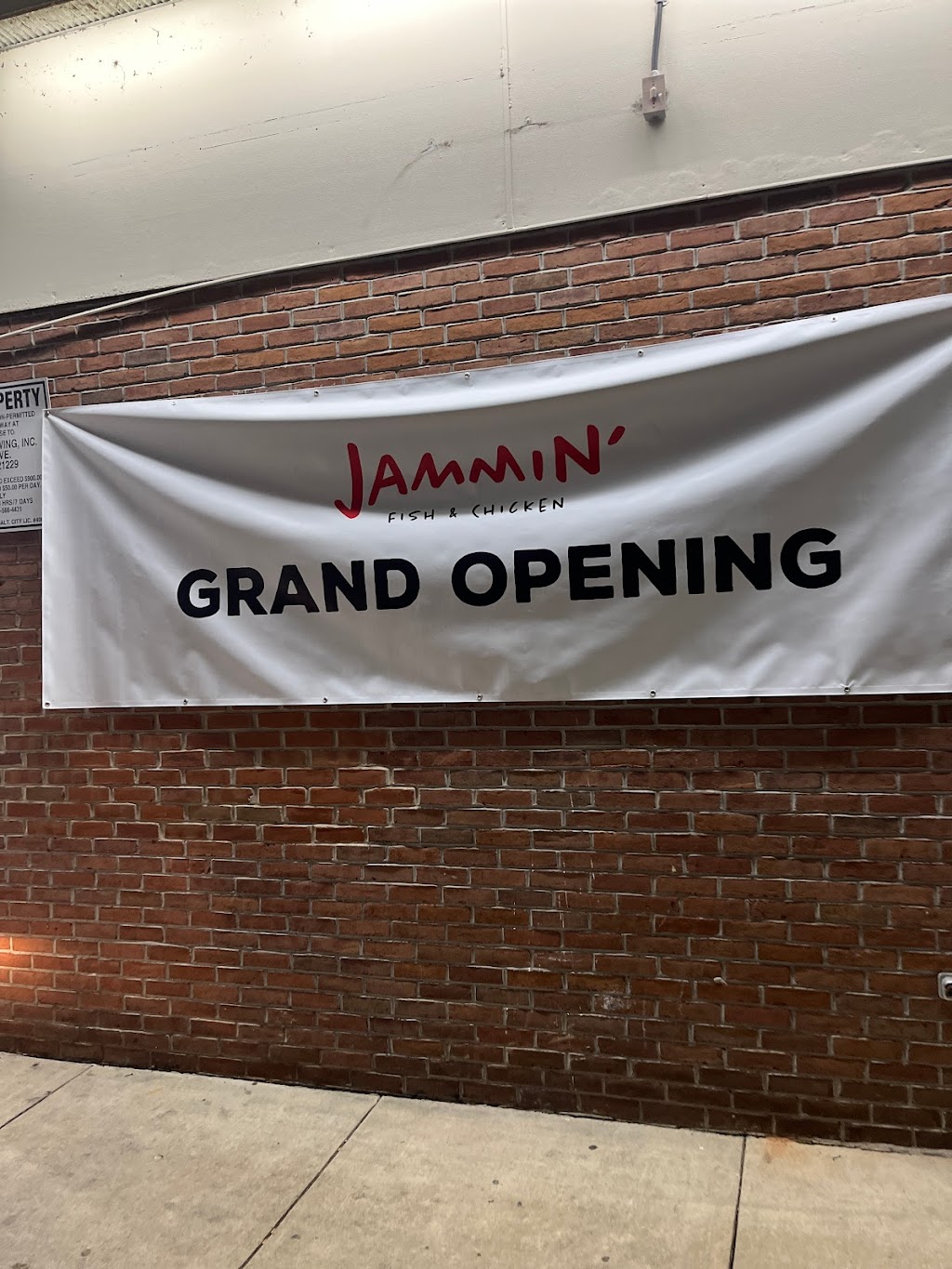 Jammin fish and chicken | 2920 Waterview Ave, Baltimore, MD 21230, USA | Phone: (410) 645-0034