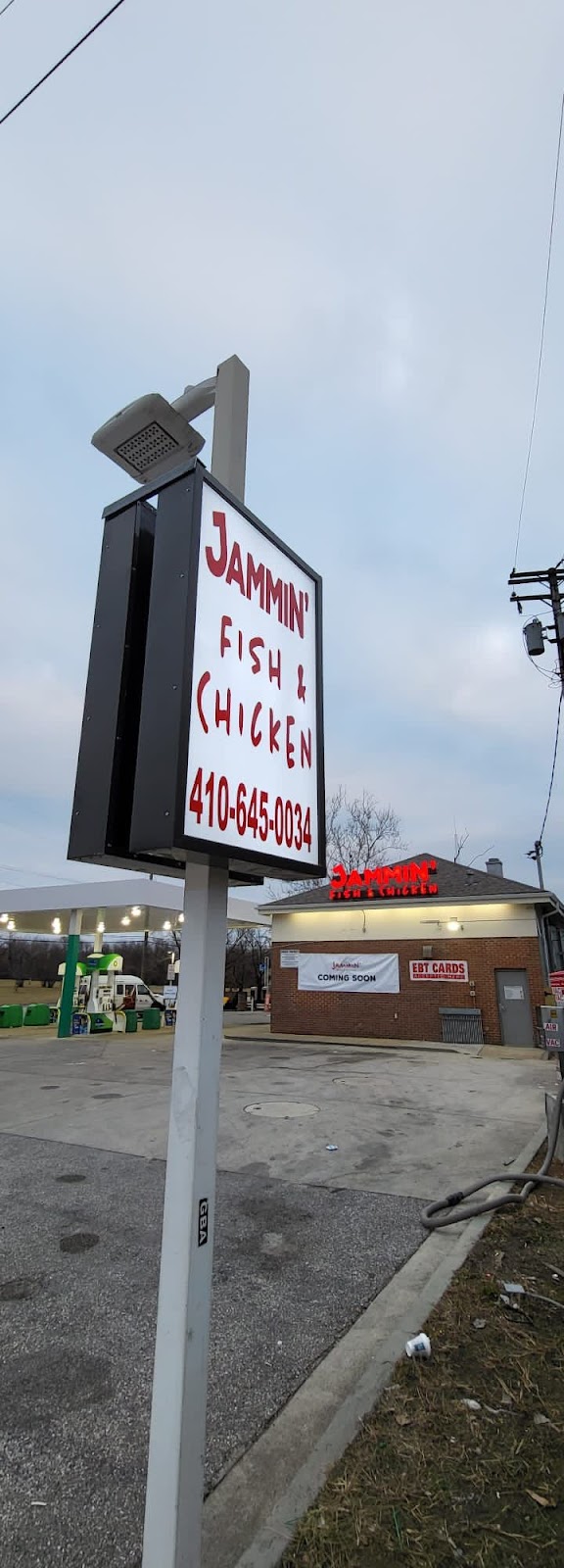 Jammin fish and chicken | 2920 Waterview Ave, Baltimore, MD 21230, USA | Phone: (410) 645-0034