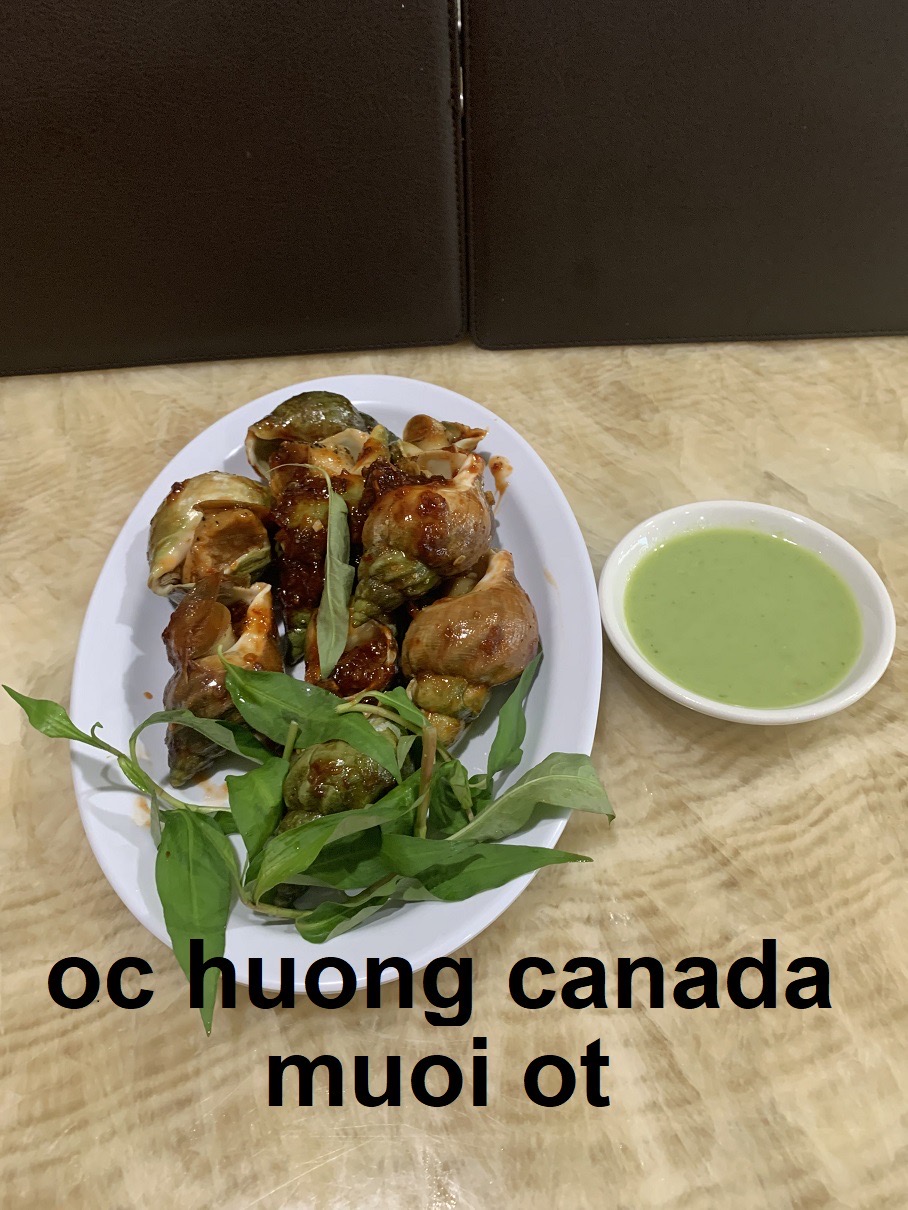 Hanoi Quan | 10800 Bellaire Blvd, Houston, TX 77072, USA | Phone: (346) 774-2130